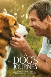 A Dog’s Journey (2019) หมา เป้าหมาย และเด็กชายของผม 2