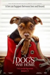 A Dog’s Way Home (2019) เพื่อนรักผจญภัยสี่ร้อยไมล์