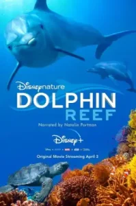 Dolphin Reef (2020) อัศจรรย์ชีวิตของโลมา