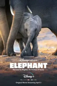 Elephant (2020) อัศจรรย์ชีวิตของช้าง