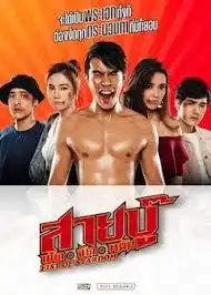 Fist Of Stardom (2019) สายบู๊ ฟัด จัด หนัก