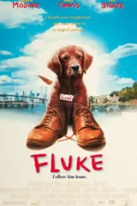 Fluke (1995) เกิดใหม่กลายเป็นหมา