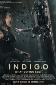 Indigo (2023) เธอเห็นอะไร