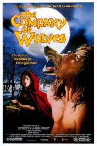 The Company of Wolves (1984) เขย่าขวัญสาวน้อยหมวกแดง